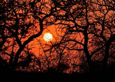 namibia-blueberry-travel (15)