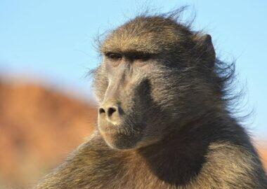 namibia-blueberry-travel (16)