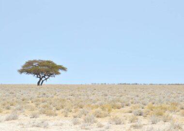 namibia-blueberry-travel (17)