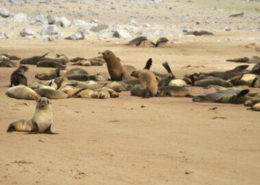 namibia-blueberry-travel (18)