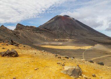 nuova-zelanda-1 (11)