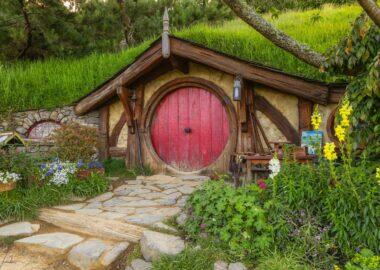 nuova-zelanda-1 (17)