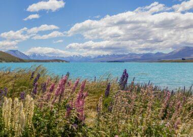 nuova-zelanda-1 (26)