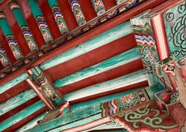 jeonju corea del sud blueberry travel