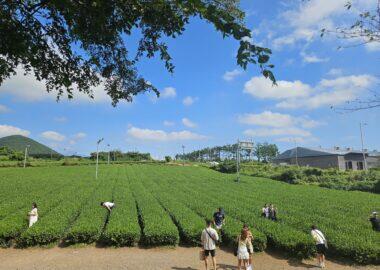 West Jeju (7)