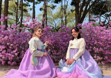 corea-coreatour-seoul-blueberry-travel-persi-corea (17)