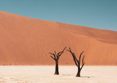 Namibia-florisnu-dune-01