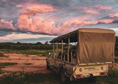 Namibia-florisnu-savana-01