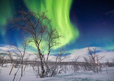 Senja aurora 03 - Framtours