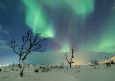 Senja aurora 04 - Framtours