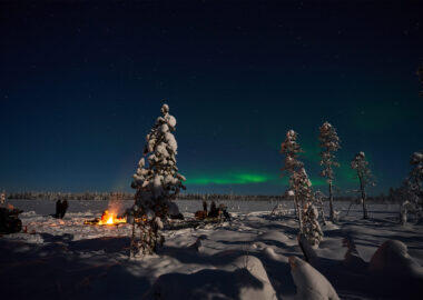 Lapland-Guesthouse - Northern-Lights-arctic-wetland