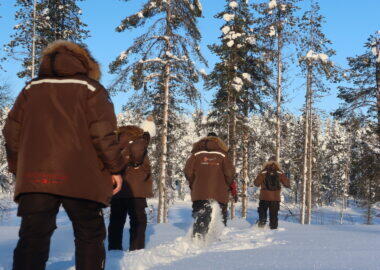 Lapland-Guesthouse-Snowshoeing-3