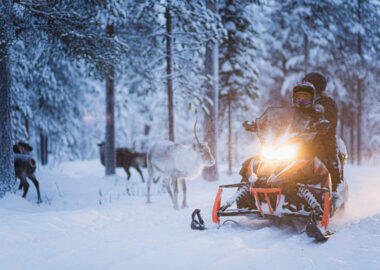 Lapland-Guesthouse - snowmobile-reindeer
