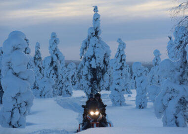 Lapland-Guesthouse - snowmobile-winter-wonderland