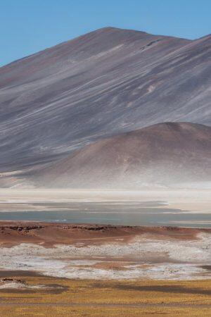 Deserto-di-Atacama-Salar-Agua-Caliente-Piedra-Rojas-1