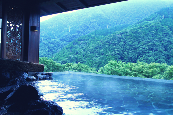 Giappone-Hakone-Gnyu-blueberry