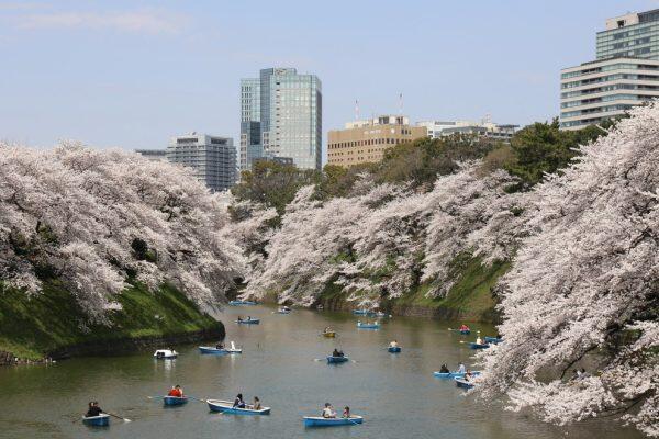 CREATOR: gd-jpeg v1.0 (using IJG JPEG v62), quality = 90