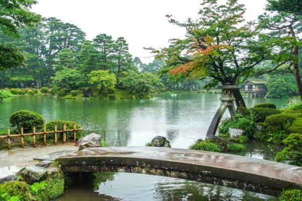 Kanazawa-Kenrokuen-blueberry