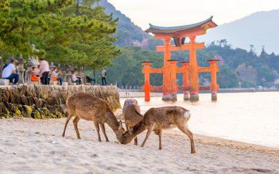 giappone-miyajima-hiroshima4