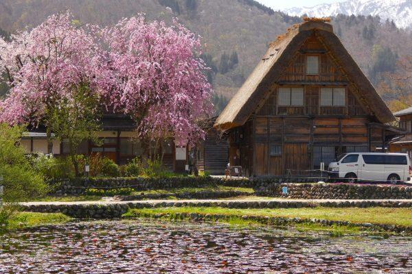 giappotour-blueberry-travel-giappone (97)