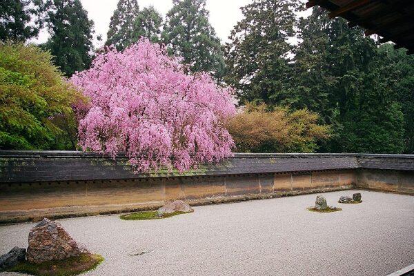 giardini_del_giappone_ryoanji