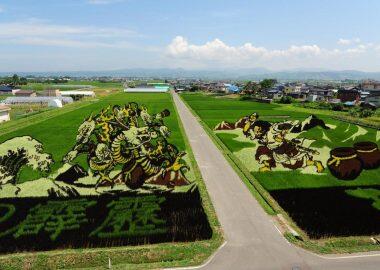 inakadate-village-rice-paddy-art-giappone-tanbo