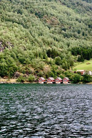 viaggio-norvegia-blueberry-flam (2)