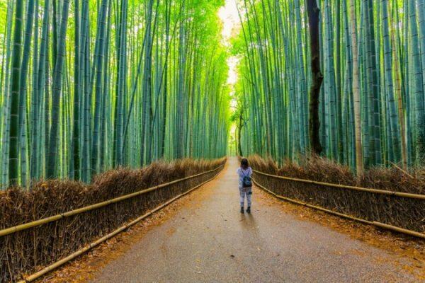 visitare_giappone_arashiyama_blueberrytravel